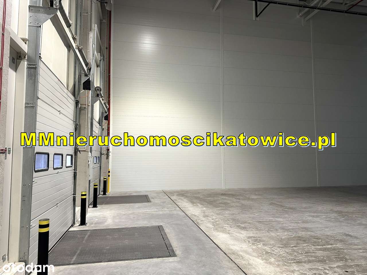 Hala produkcyjna/magazyn do wynajęcia Katowice - Pełny obrazek: 4/4