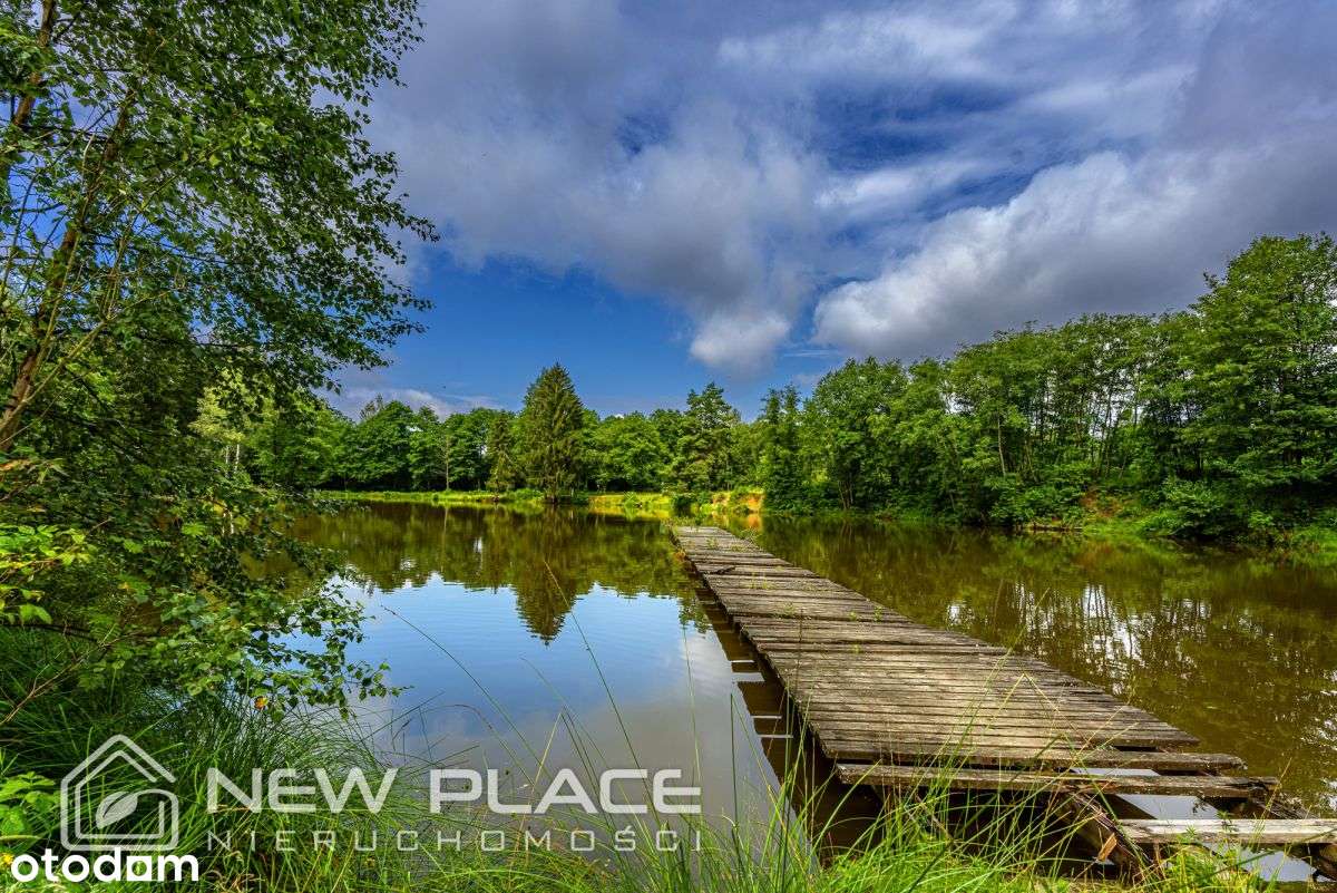 Przy lesie i stawie, Mpzp, Szczytna Duszniki-Zdrój - Pełny obrazek: 4/10