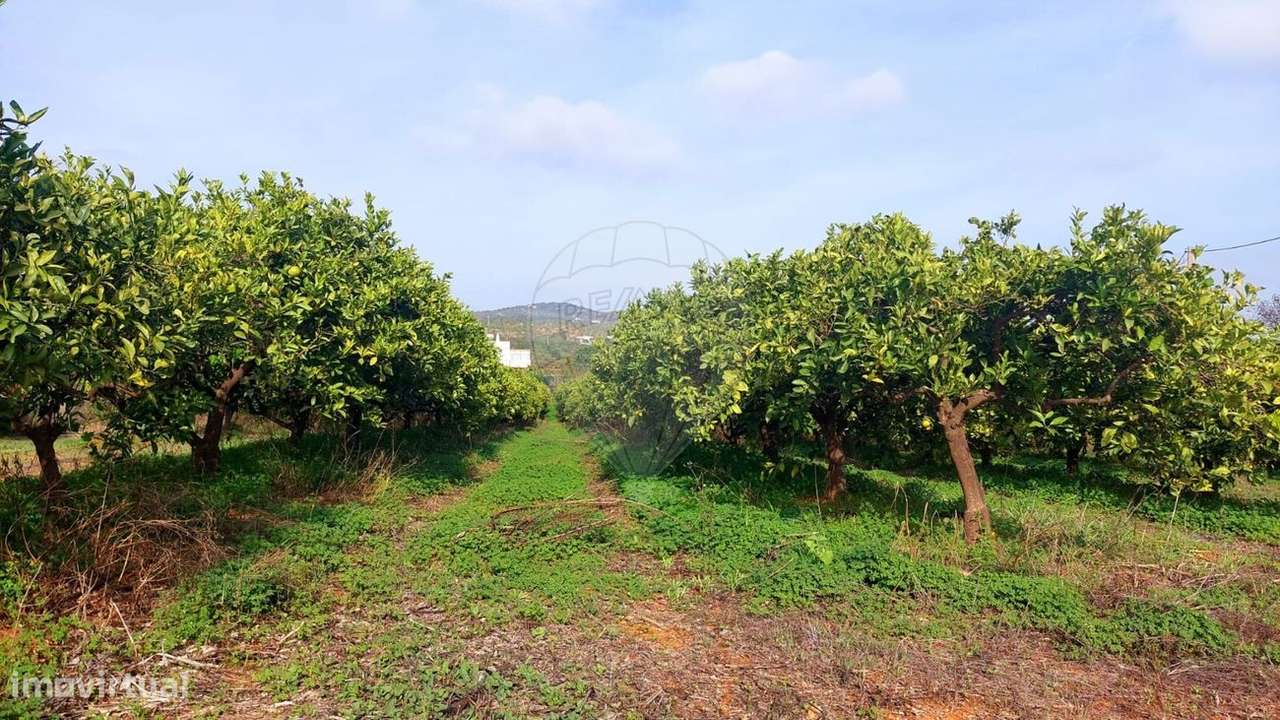 Terreno  para venda - Grande imagem: 2/7