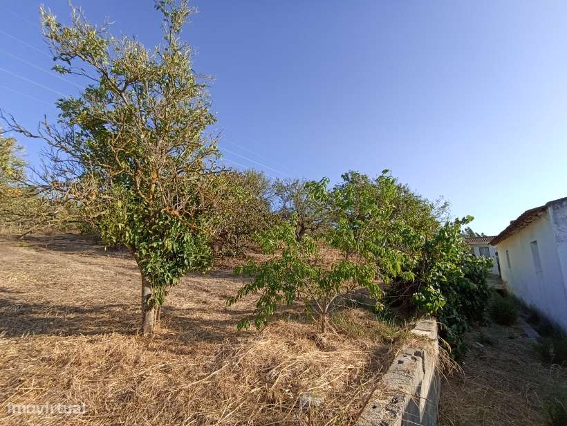 Terreno com casa em ruínas  junto Marianos, Fazendas de Almeirim - Grande imagem: 2/2