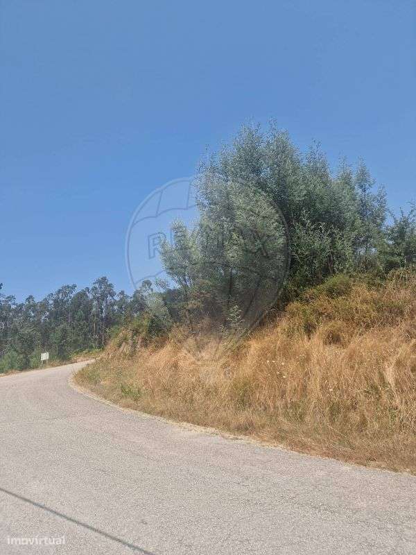 Terreno  para venda - Grande imagem: 5/10