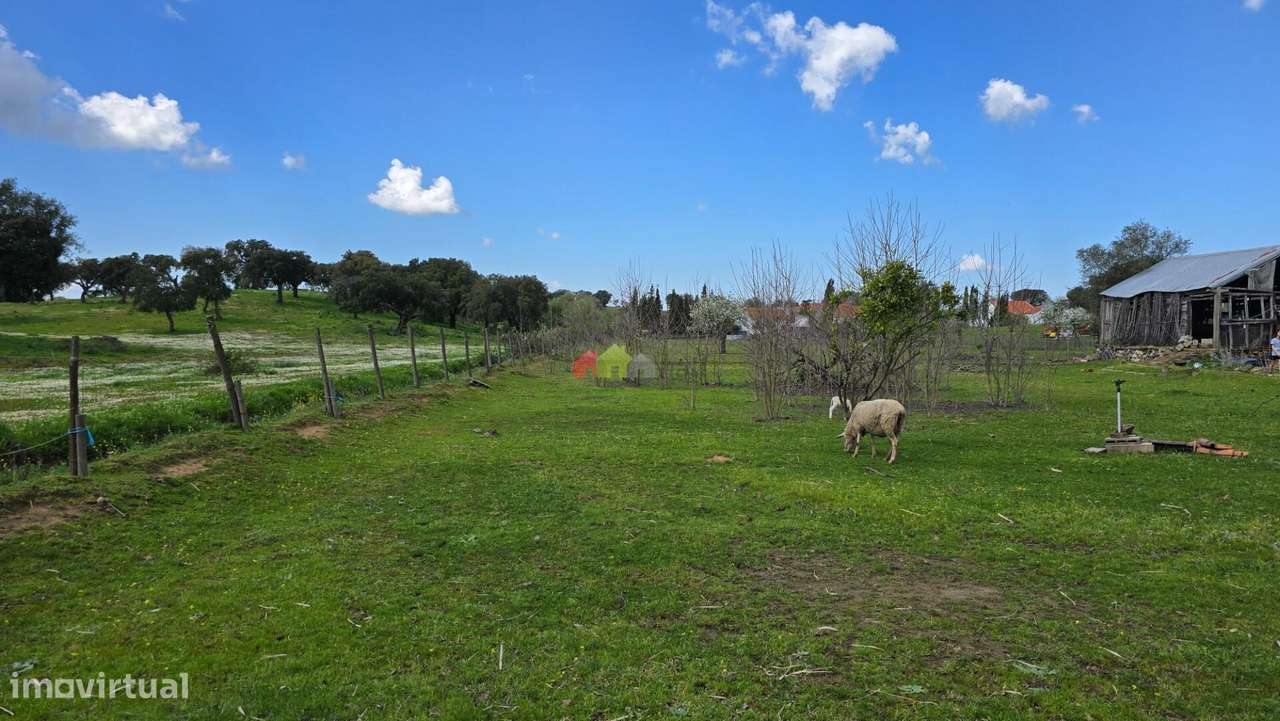 Quinta T2 em Fazendas do Cortiço-49