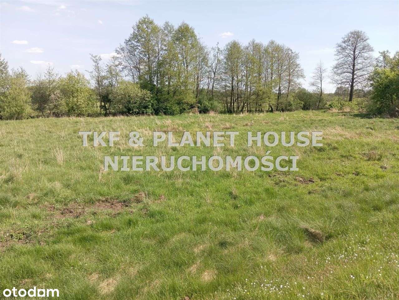 Działka rolna 11 000 m2. Wola Załężna gm. Opoczno - Pełny obrazek: 3/4