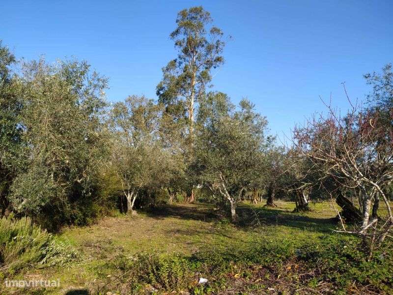 Vende-se Terreno Urbano à entrada da Vila da Lousã - Grande imagem: 4/7