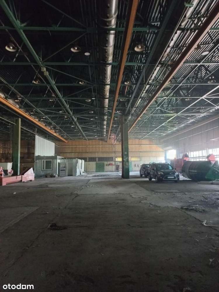 hala magazynowa, produkcyjna - bezpośrednio - Pełny obrazek: 5/7