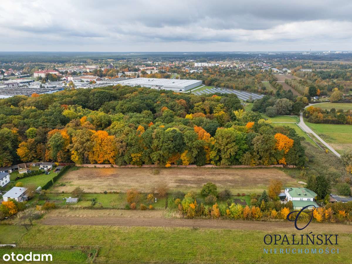 Działka budowlana 18ar | Nisko, cicha i spokój |wz - Pełny obrazek: 5/17