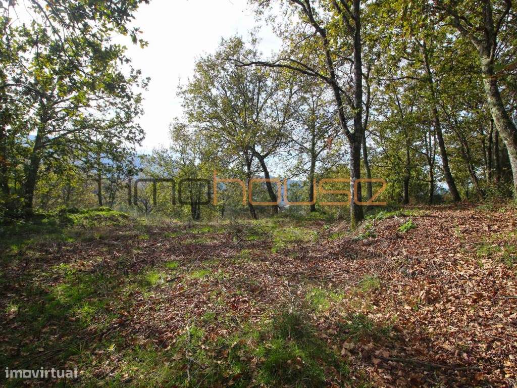 Quinta isolada - Amarante-21