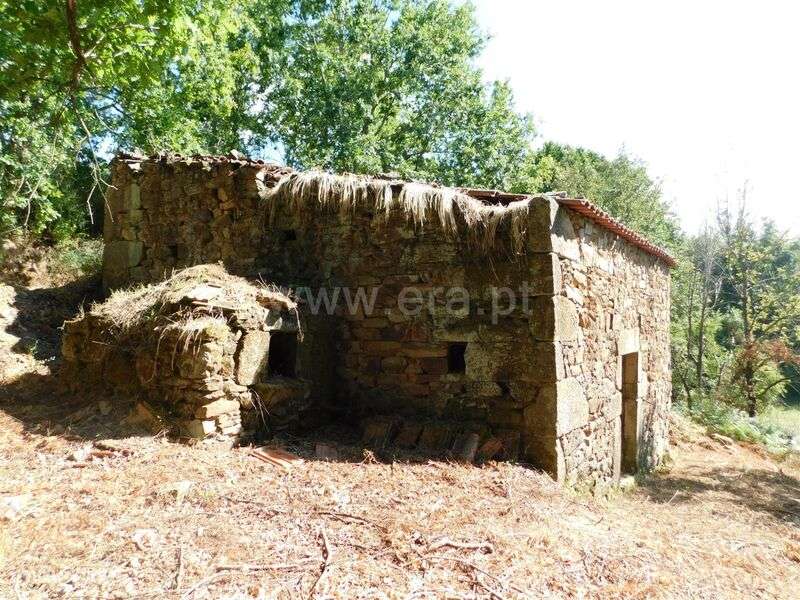 Terreno com ruina / Seia, Seia - Grande imagem: 4/10