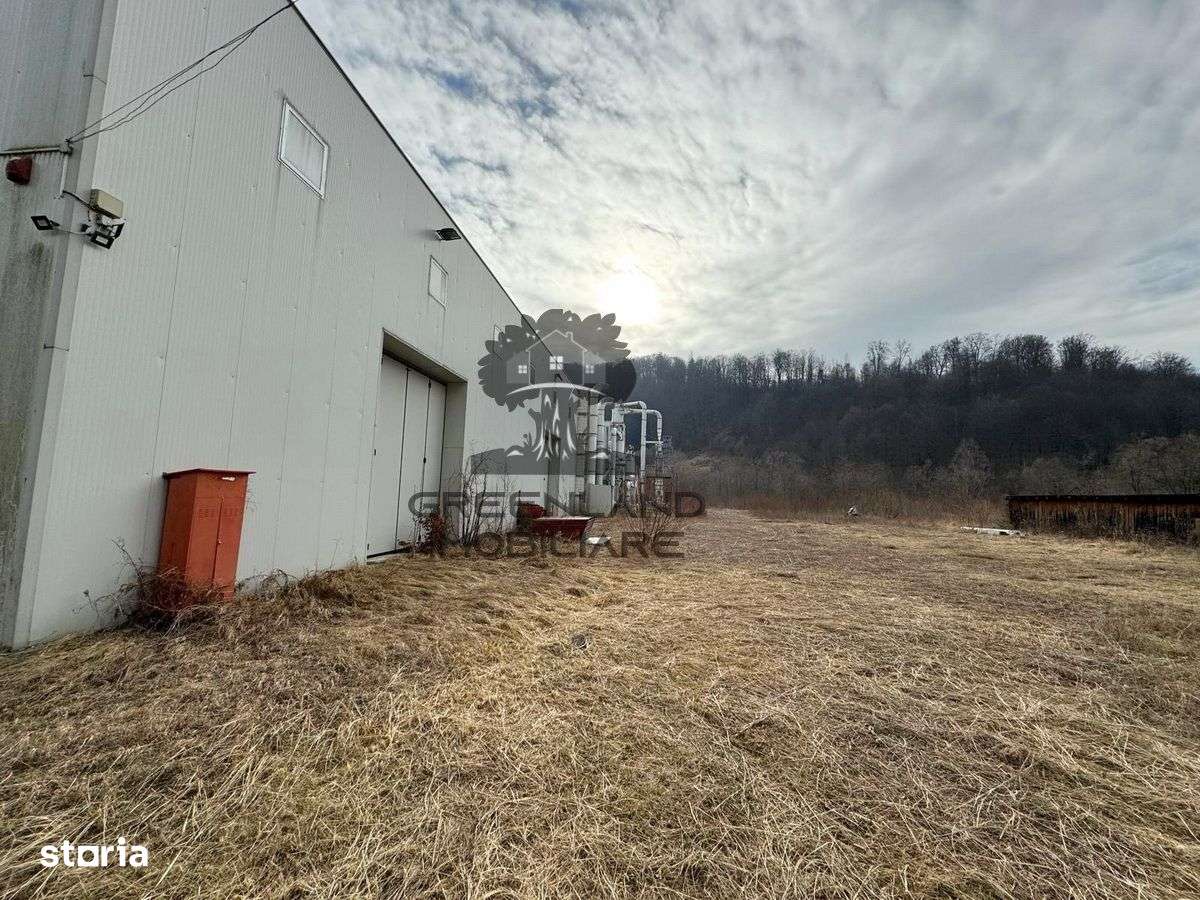 HALA INDUSTRIALA 2000mp + 20.000mp teren, la DN, traf 1000kw, ca noua-6