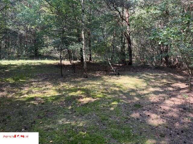 Siestrzeń, 10 000m,do podziału na 6 działek,z Mpzp-4