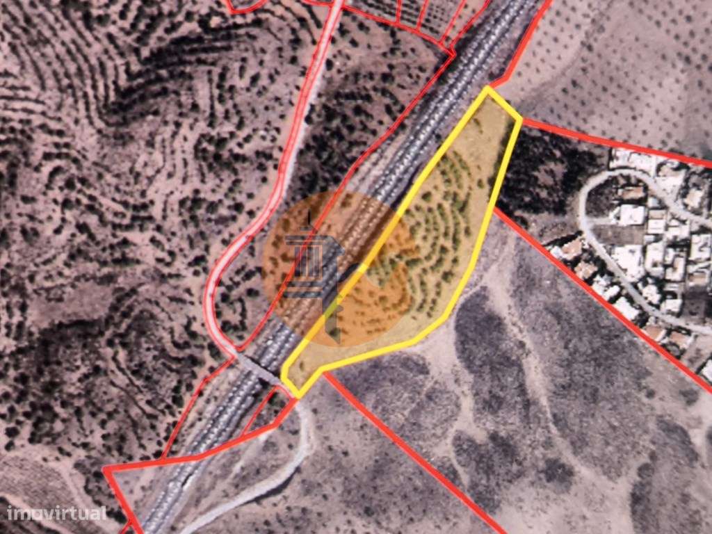 TERRENO RUSTICO COM 22.520 M2 - PLANO - COM SOBREIROS - POSSIBILIDA... - Grande imagem: 2/25