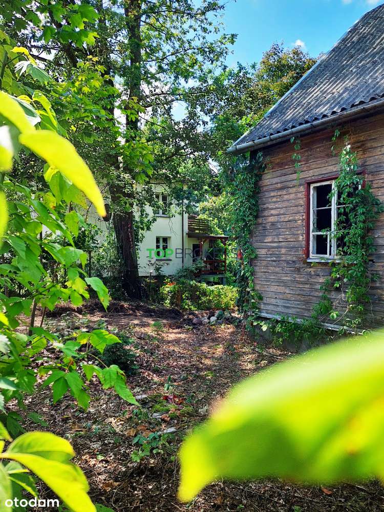 Unikalna działka na Boernerowie - Pełny obrazek: 4/7
