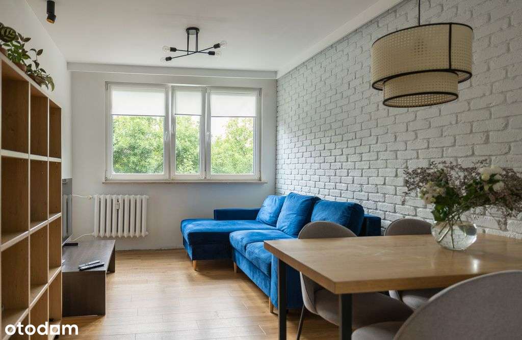 3 pokoje w sercu zielonej Różanki | film - Pełny obrazek: 1/20