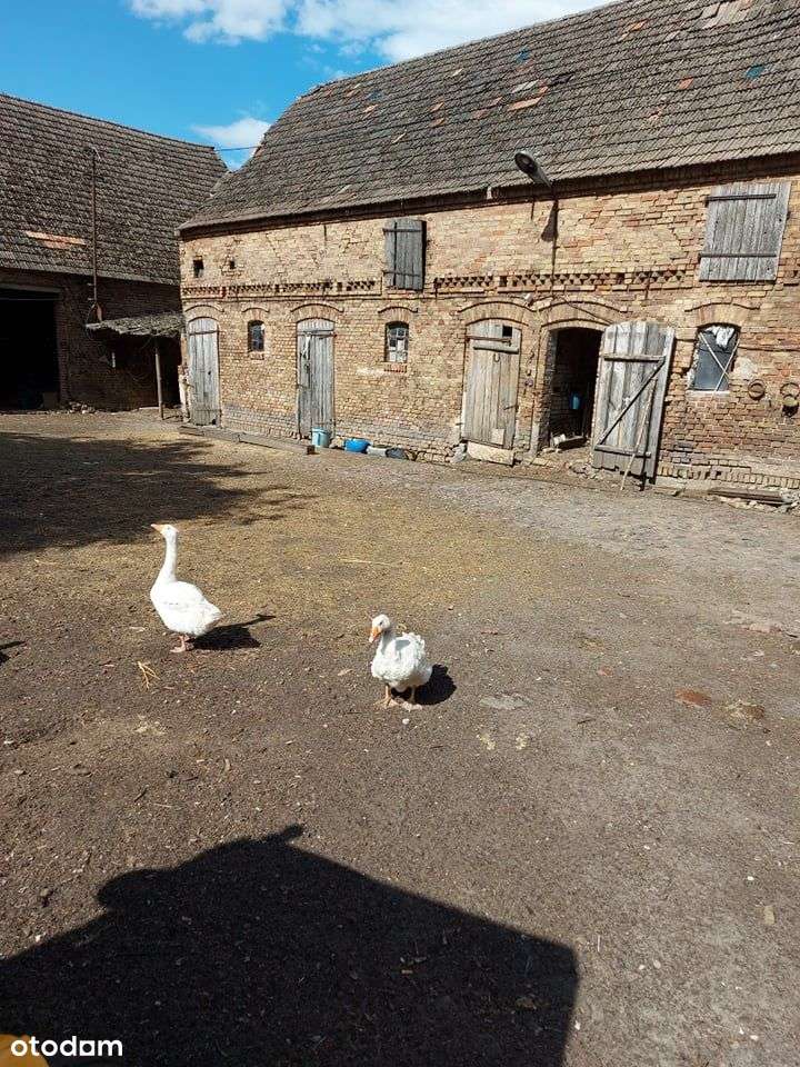 Działka Gospodarcza - Pełny obrazek: 4/7