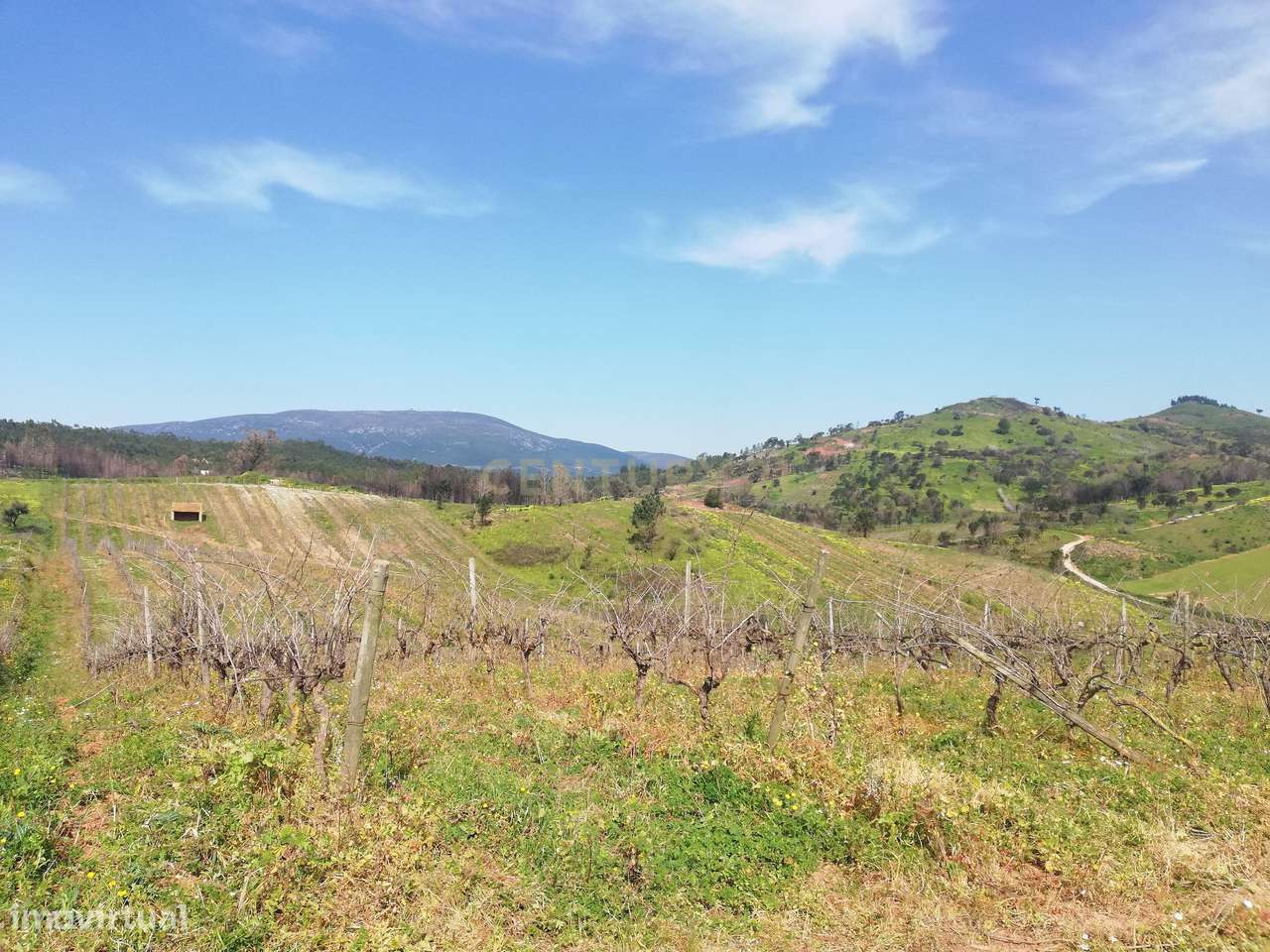 Terreno Rústico Meca - Alenquer - Grande imagem: 2/13