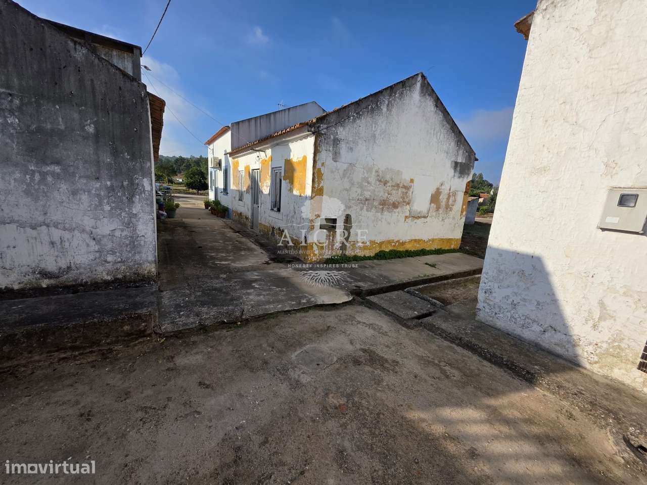 Chouto perto da Chamusca - Grande imagem: 2/22