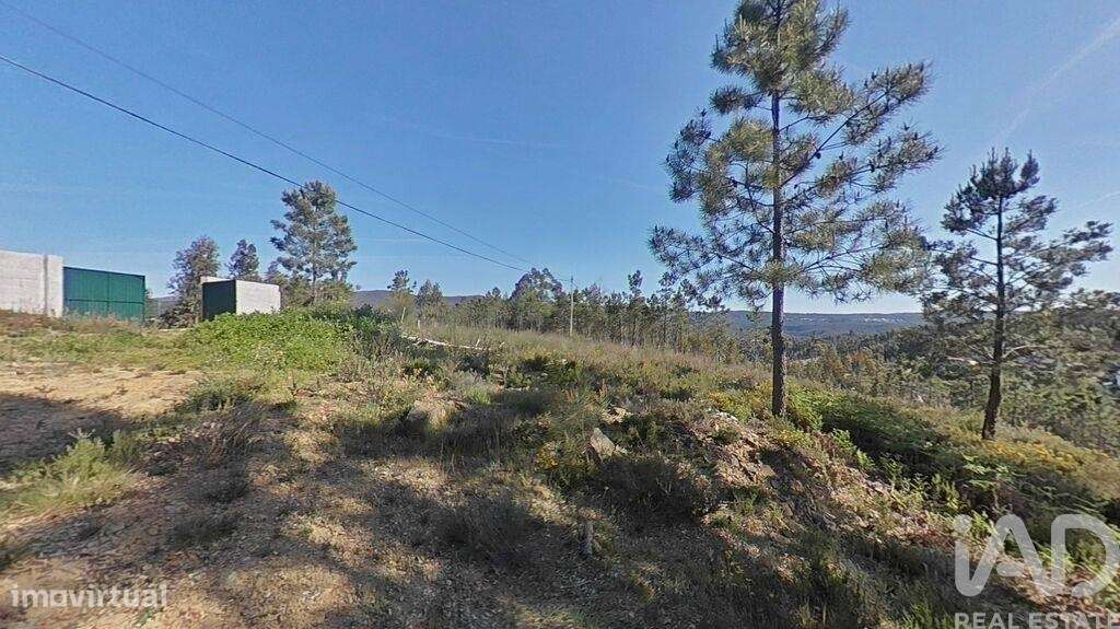 Terreno em Troviscal - Grande imagem: 4/26