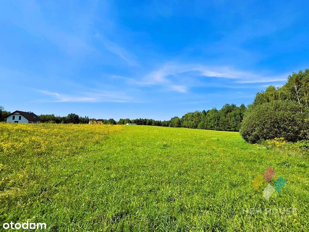 Działka pod zabudowę w otulinie lasu, Patryki - Pełny obrazek: 4/9