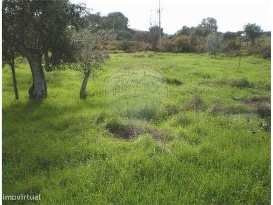 Terreno  para venda - Grande imagem: 4/10