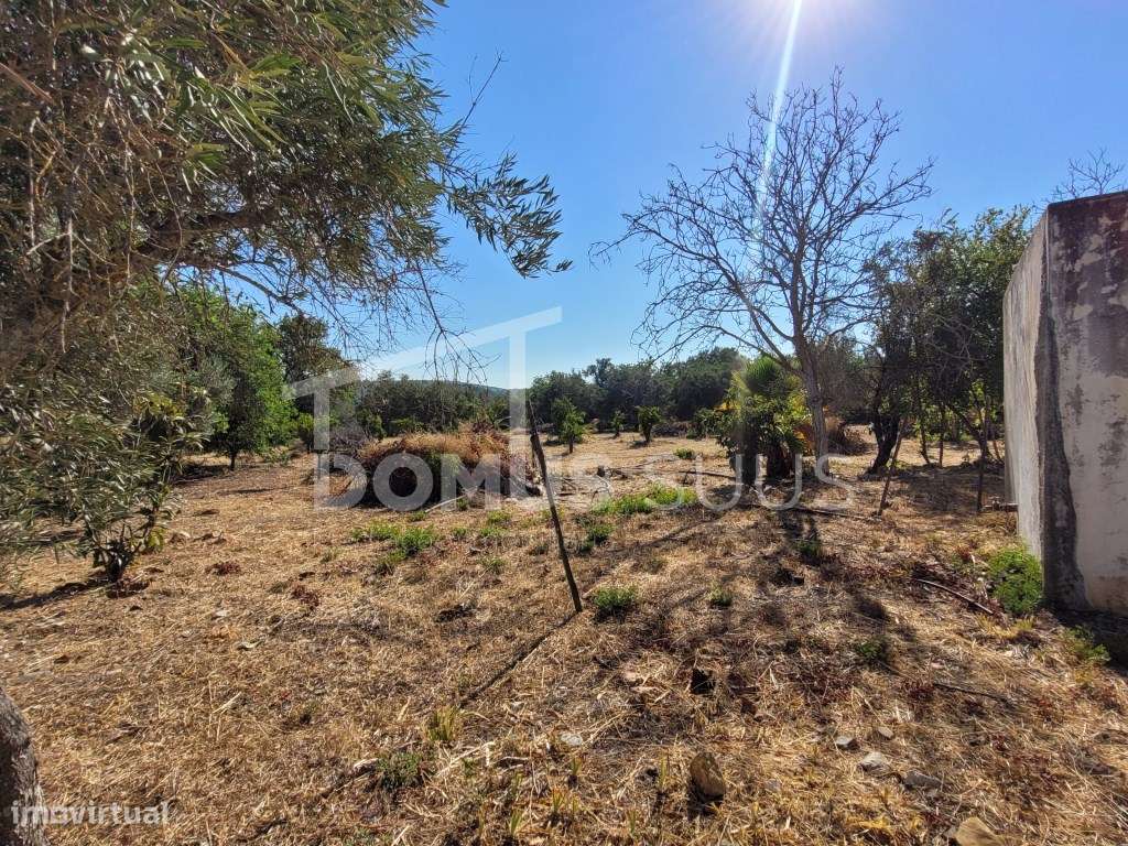 Terreno para construção de moradia-1