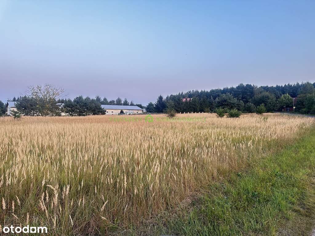 Słoneczna działka w Niedźwiedziu, do zabudowy - Pełny obrazek: 4/4