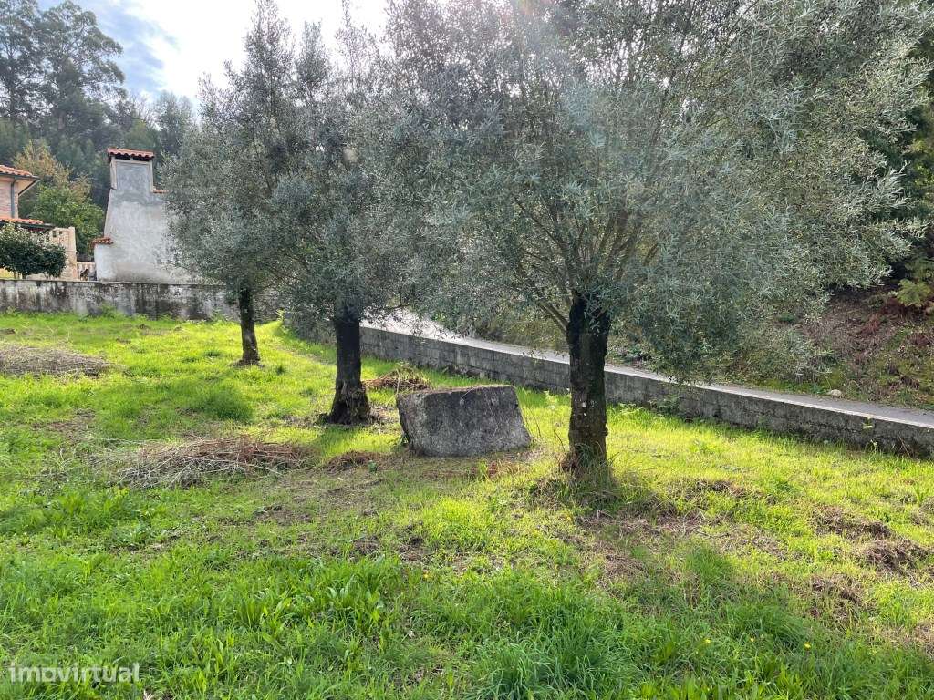 Terreno com 1.700m2 na Ribeira - Grande imagem: 1/7