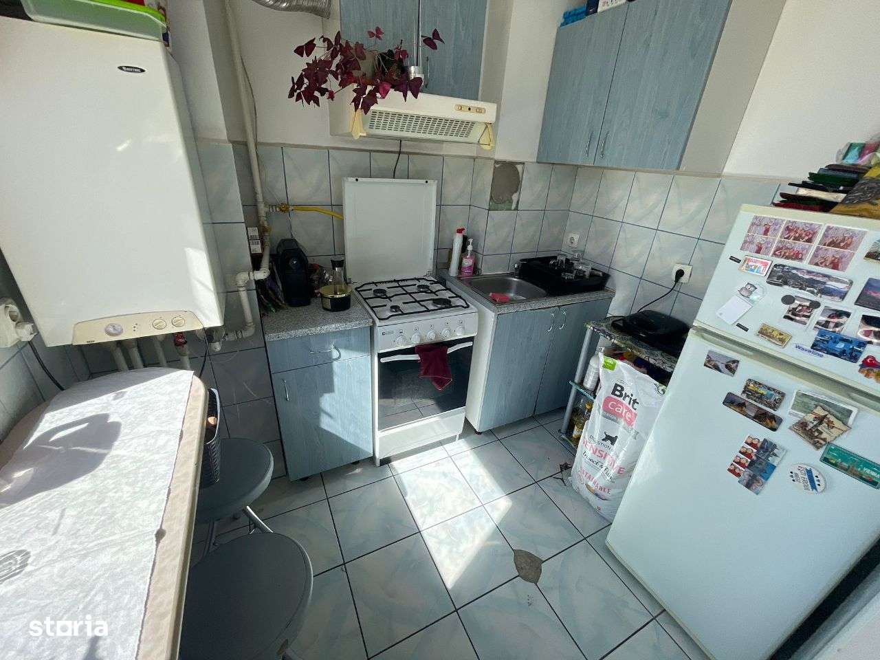 Apartament cu 1 camera in Iris, str Oasului - Imagine principală: 4/5