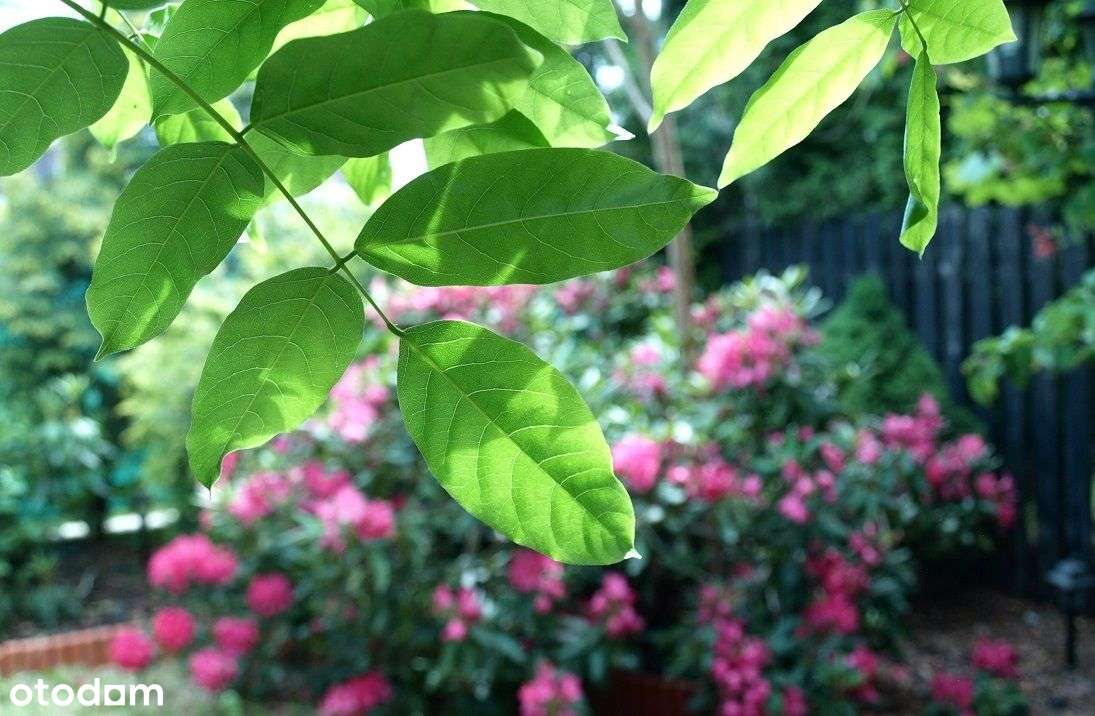 Przepiękny dom szeregowy w zielonej części Włoch-14