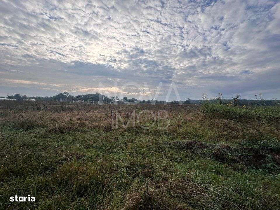 Teren extravilan - 7575 Selimbar - Imagine principală: 2/3
