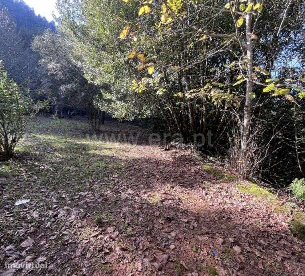 Espetacular Quinta em  Miranda do Corvo, Coimbra - Grande imagem: 4/9