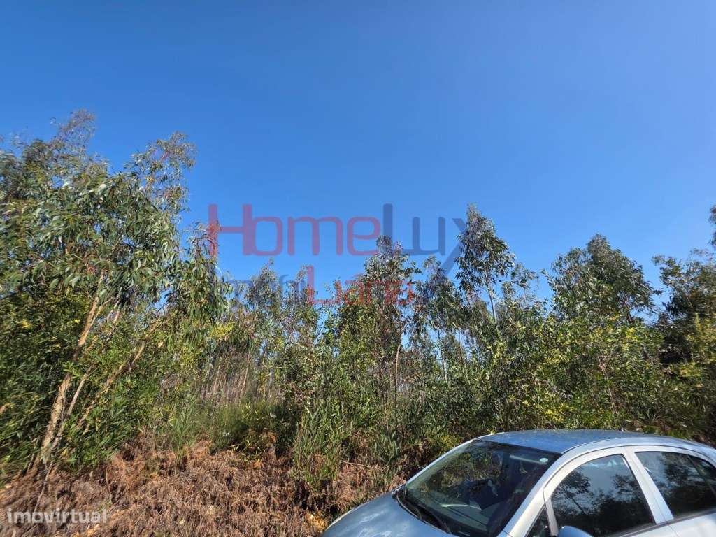 Terreno na zona industrial de Albergaria-a-Velha-7