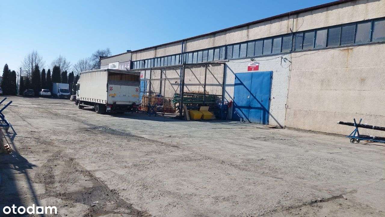 Hala magazynowa – 5 dużych bram wjazdowych - Pełny obrazek: 2/3