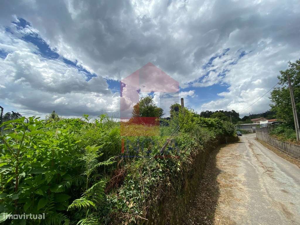 Terreno agrícola, Freiriz - Grande imagem: 5/9