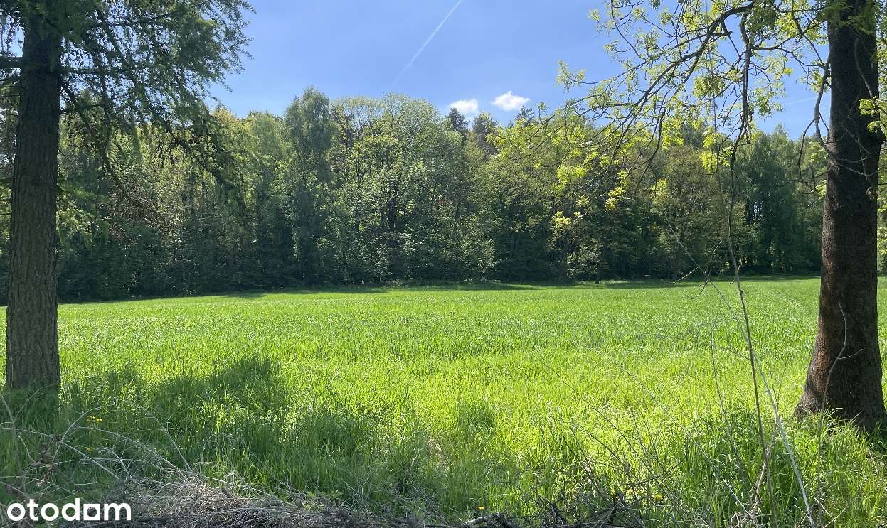 Siedlisko na polanie, pod stadninę lub agroturystykę, 30 min od KRK-6