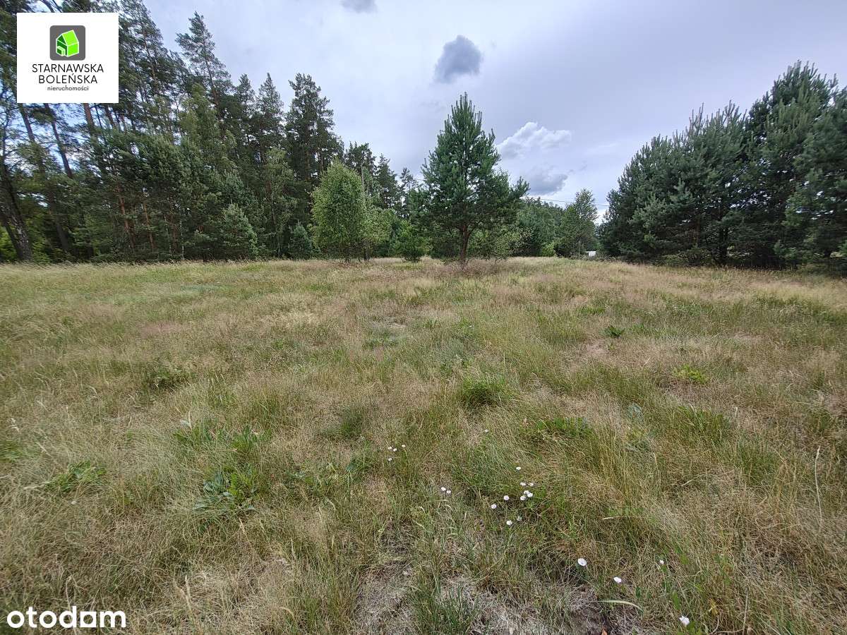 Działka przy jeziorze Smolnik (gm.Kaliska)-11