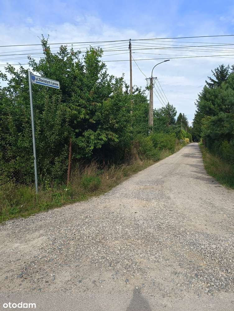 Działka leśna z bliskością PKP - Pełny obrazek: 5/8