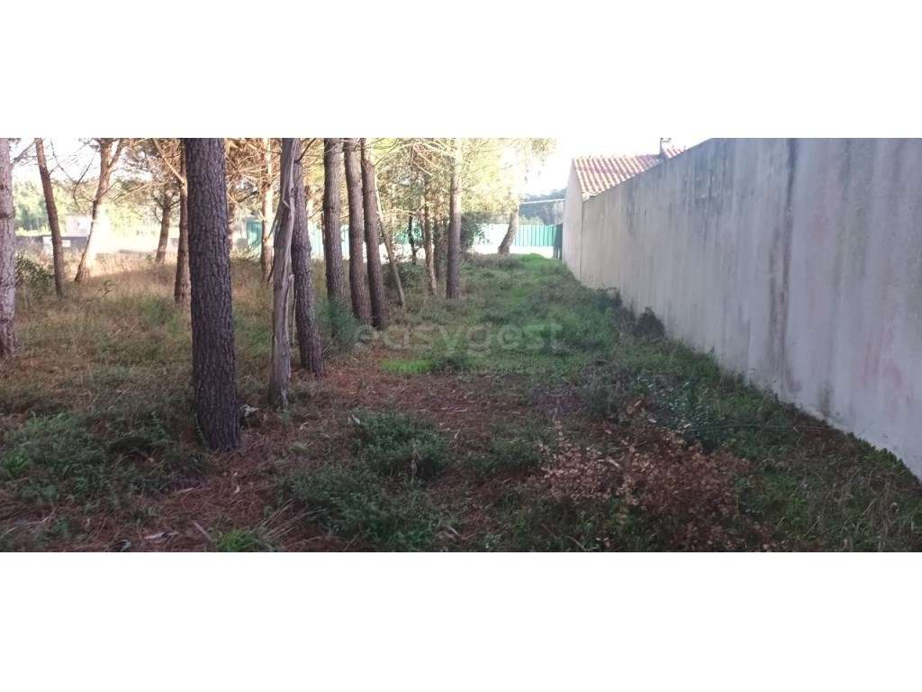 Terreno localizado em zona urbana com viabilidade para construção d... - Grande imagem: 3/18