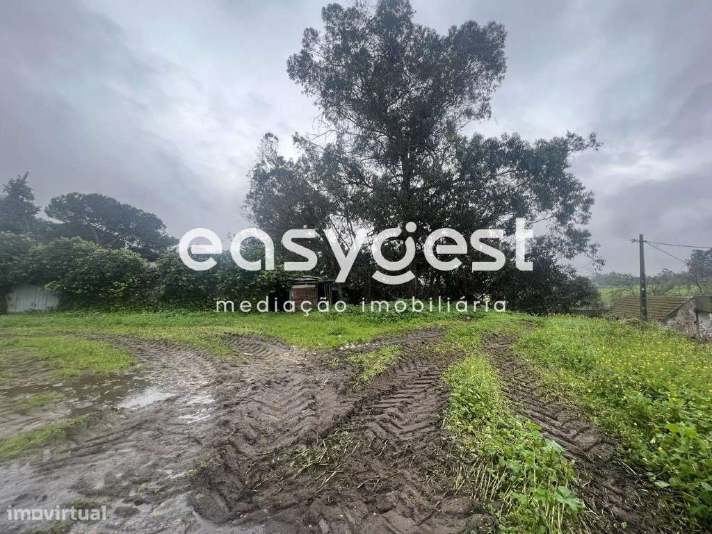 Quinta com 15ha com casa térrea, perto do centro do Pinhal Novo - Grande imagem: 3/25