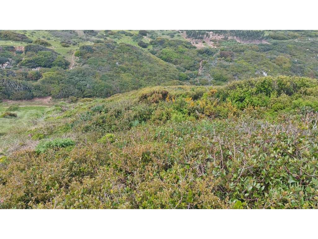 Terreno com 6341m2 com vista Mar - Grande imagem: 4/8