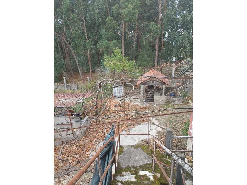 Moradia para Restauro em Barbeita - Monção - Grande imagem: 5/49