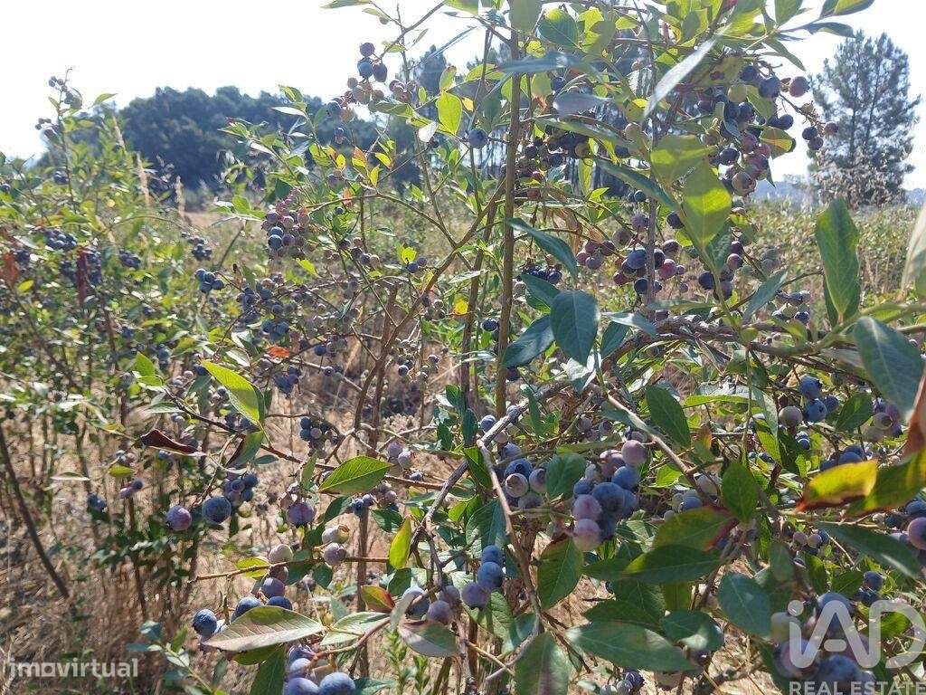Terreno Agrícola em Orjais de 13681,00 m2 - Grande imagem: 3/28
