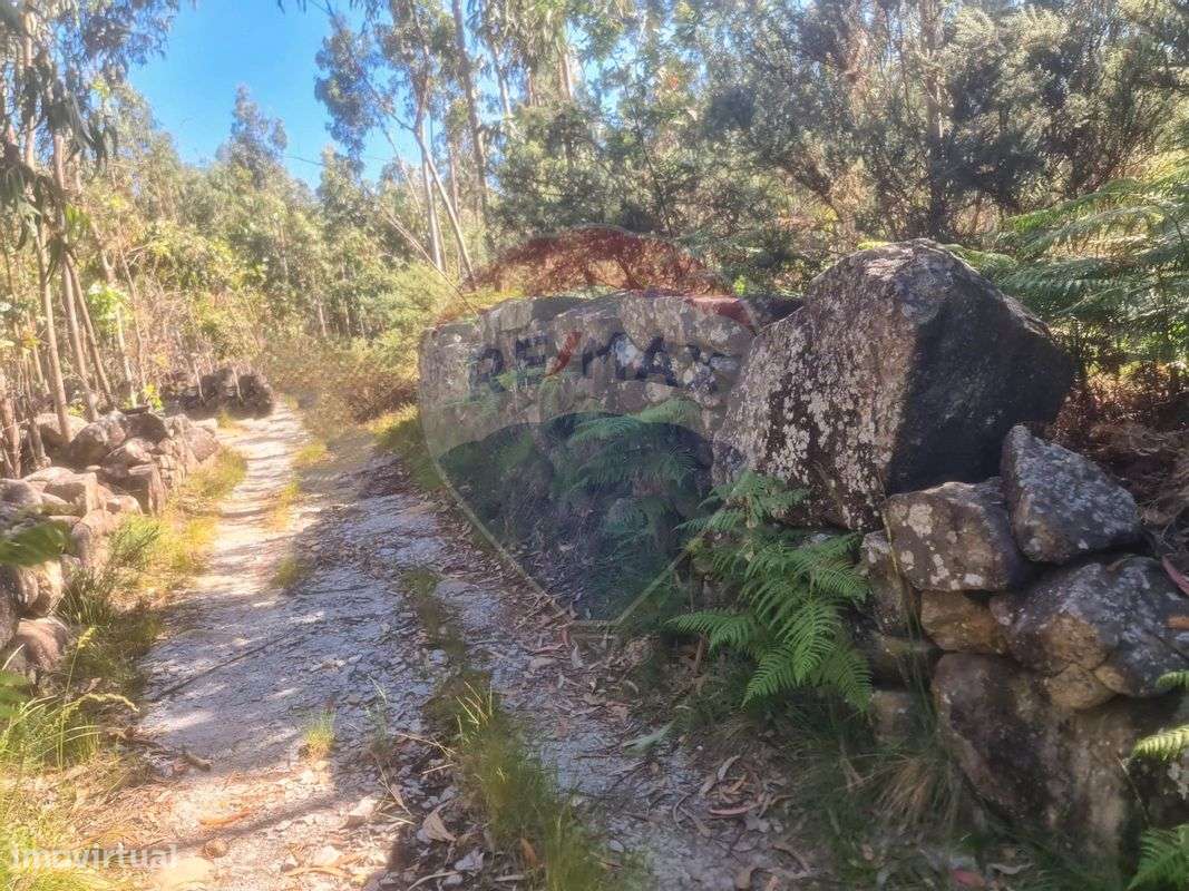 Terreno  para venda - Grande imagem: 5/6