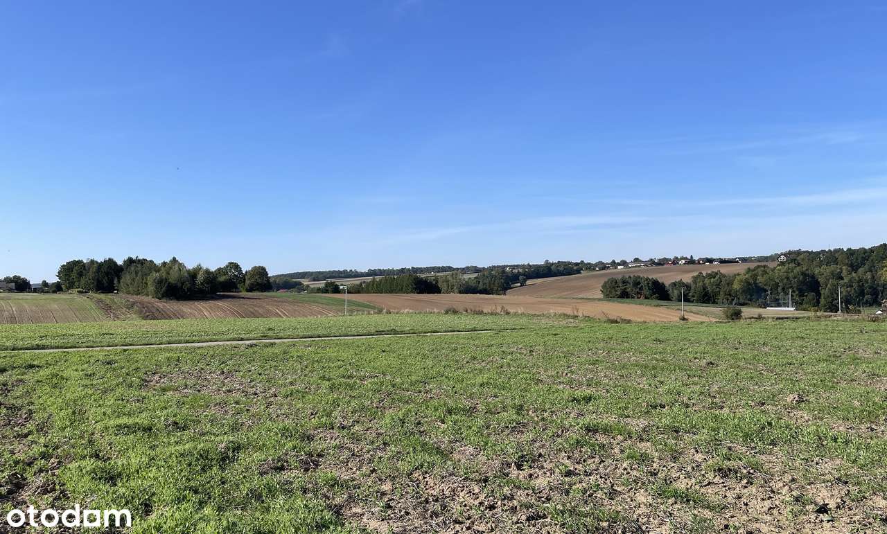 Słoneczna działka, 30 min od Krakowa - Pełny obrazek: 5/6