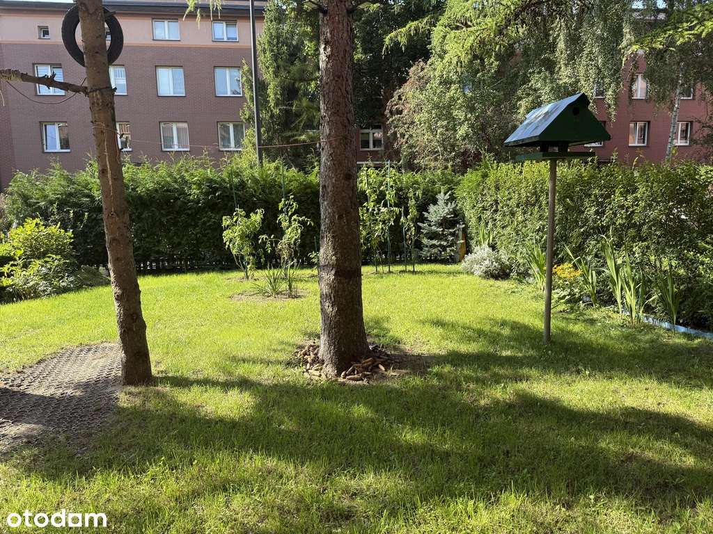 Kamienica z odnowioną elewacją | zieleń | 72 m²-8