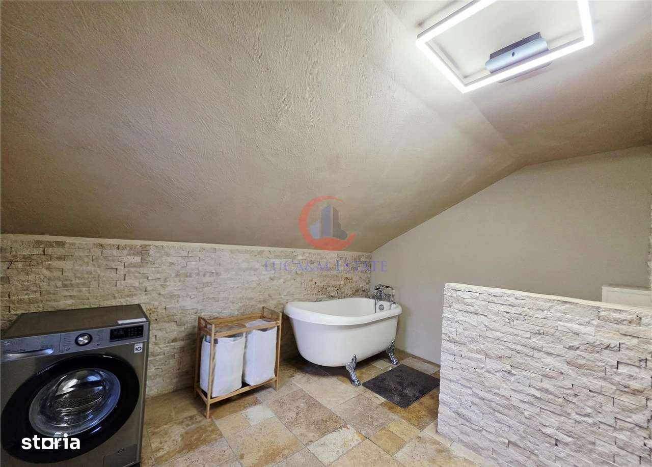 Vila, Cerneteaz, Teren Generos, Casa de Oaspeti, Beci, Garaj-18