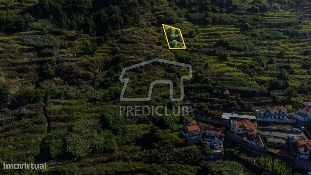Terreno 500 m2 - Arco da Calheta-5