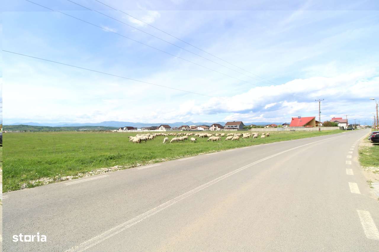 Teren intravilan, strada principalǎ, 564 mp, Prelungirea Panduri - Imagine principală: 4/4