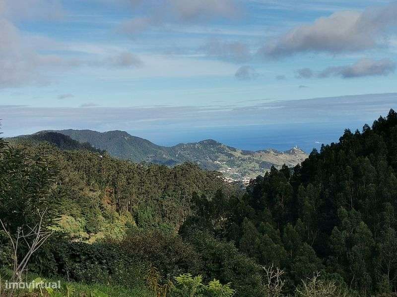 Permuto casa no Santo da Serra, por casa /ruína no Porto Santo  ou Fx - Grande imagem: 4/6