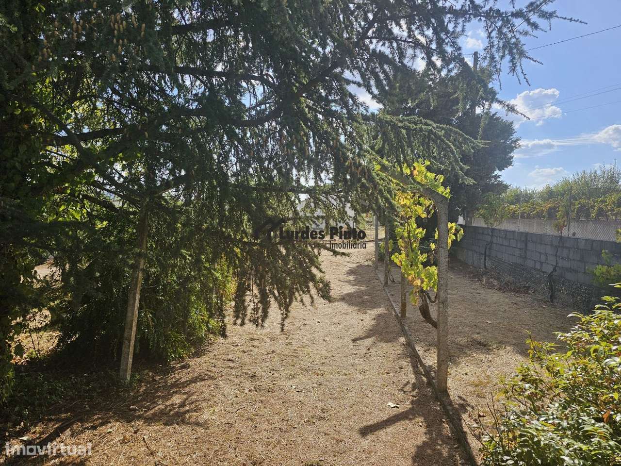 Quinta com moradia-2