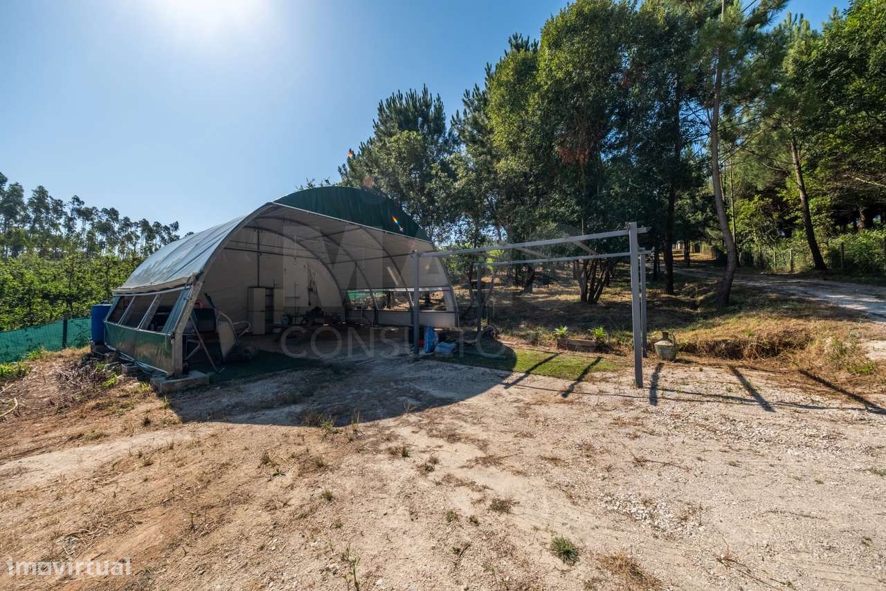 Terreno Agrícola na Fanadia | 16.100 m² de Potencial e Infraestrutu...-5